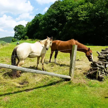 Maxima Daire Bad Arolsen