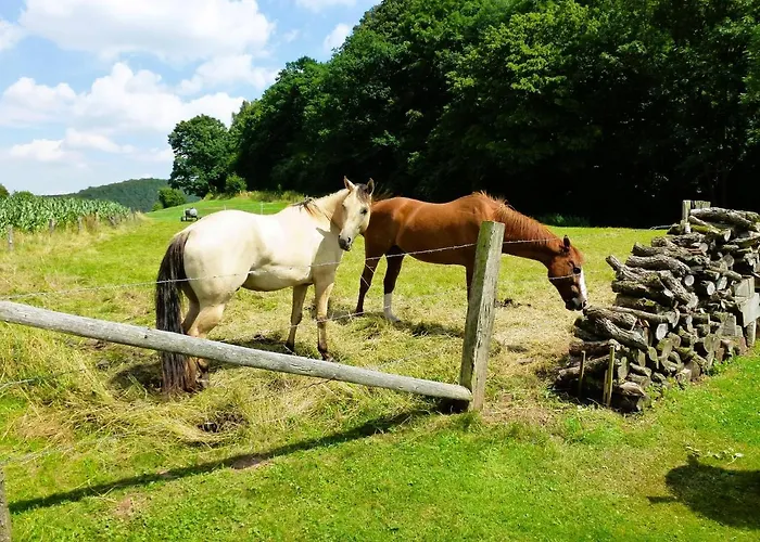 Maxima Daire Bad Arolsen